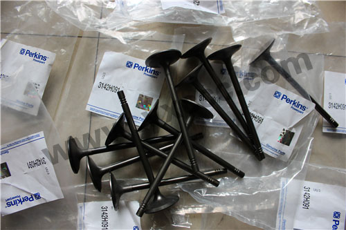 珀金斯Perkins 1106A柴油機(jī)配件汽缸蓋、氣門、導(dǎo)管1106