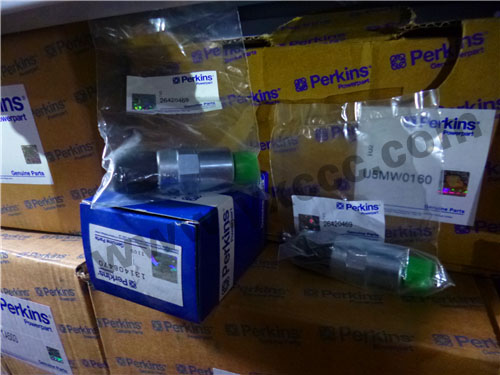 1206E柴油機(jī)T410145柴油燃油泵、溫度感應(yīng)傳感器、燃料過濾器(1206E)